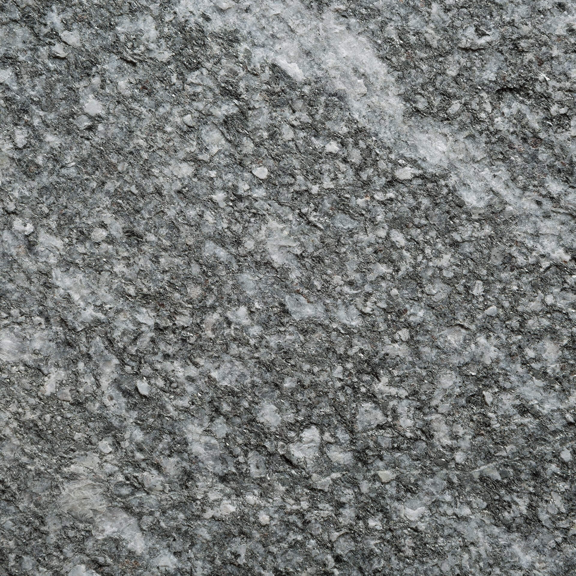 Gneiss Biasca 4